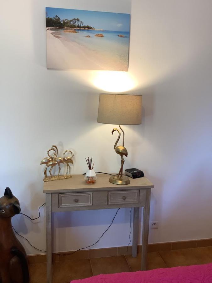 Charmant Appartement 2 Pieces Eccica-Suarella  Exteriör bild